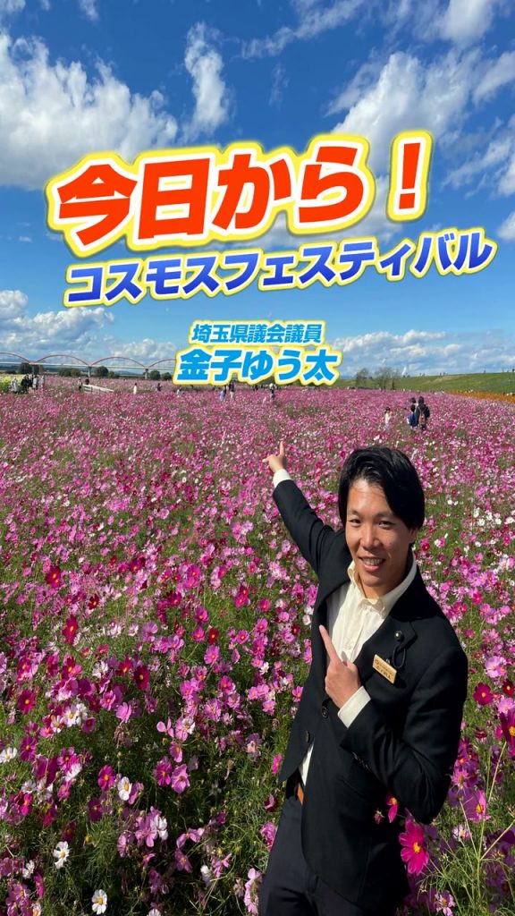 日本一長い水管橋と、1,200万本のコスモス｜第28回コスモスフェスティバル
